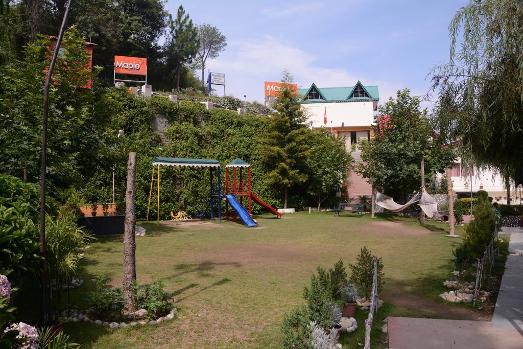 Maple Resort Chail Exterior photo
