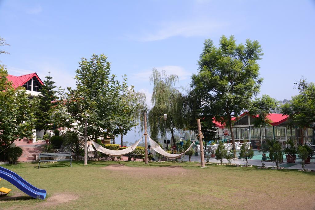 Maple Resort Chail Exterior photo