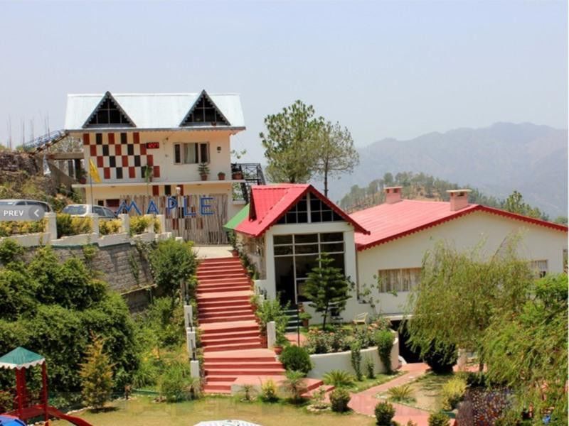 Maple Resort Chail Exterior photo