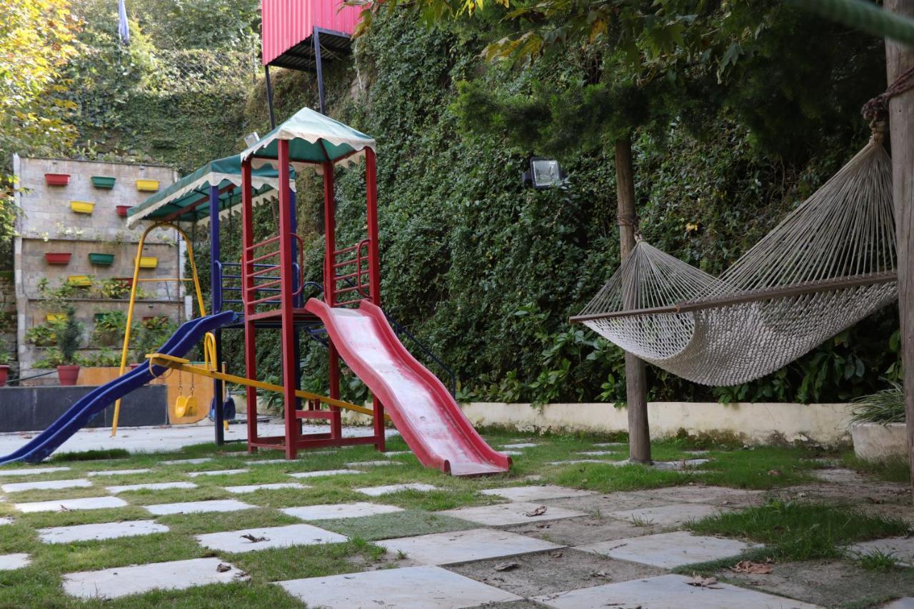 Maple Resort Chail Exterior photo