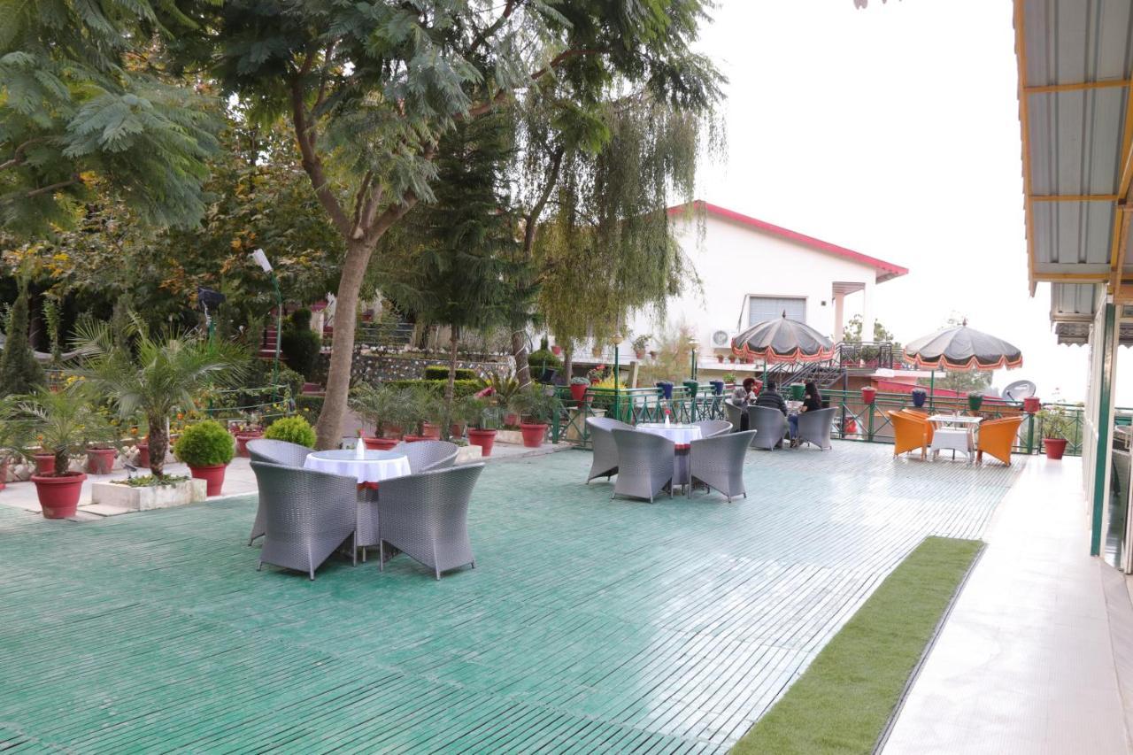 Maple Resort Chail Exterior photo