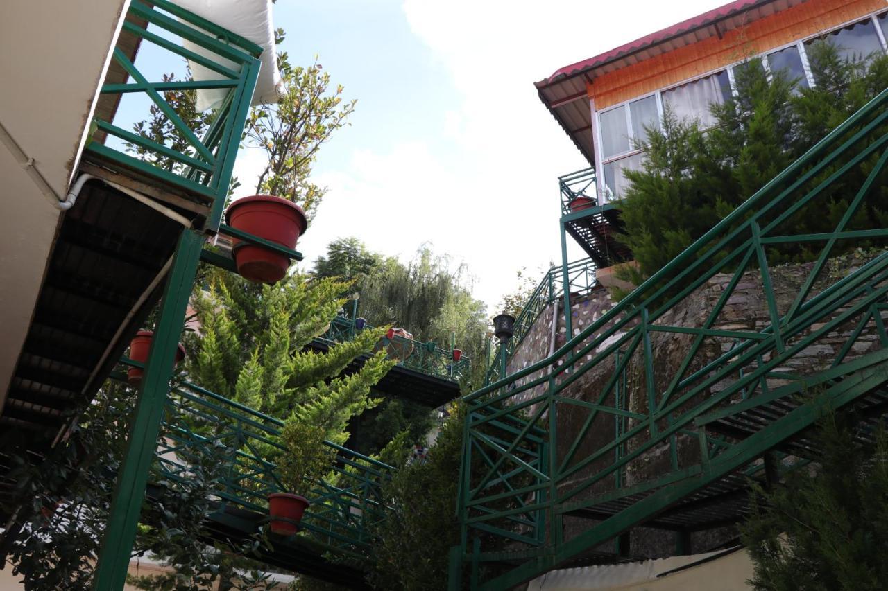 Maple Resort Chail Exterior photo